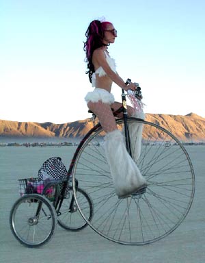 48-inch Hiwheel Trike