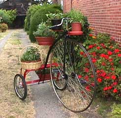 Deluxe Shelf Trike