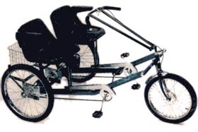 Side-by-Side Team Dual Trike