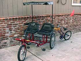 Side-by-Side Team Dual Trike