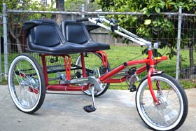 Side-by-Side Team Dual Trike